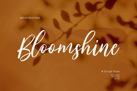 Bloomshine: The Script Handwritten Font That Elevates Your Brand