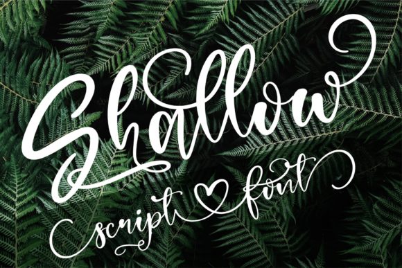 Shallow: A Script Handwritten Font for Luxurious Digital Branding